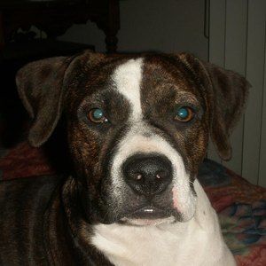 Meet your Posher, Lelan